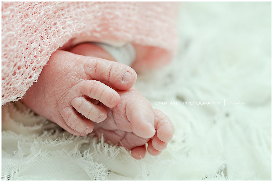 Norfolk Virginia Beach Birth Newborn Photographer