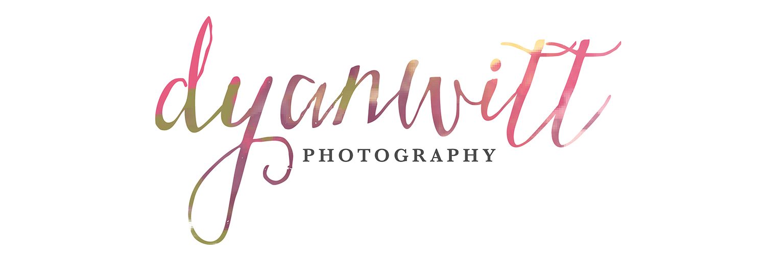 Logo for Premier Norfolk, Virginia - Hampton Roads Newborn Photographer, Maternity, Baby Photographer